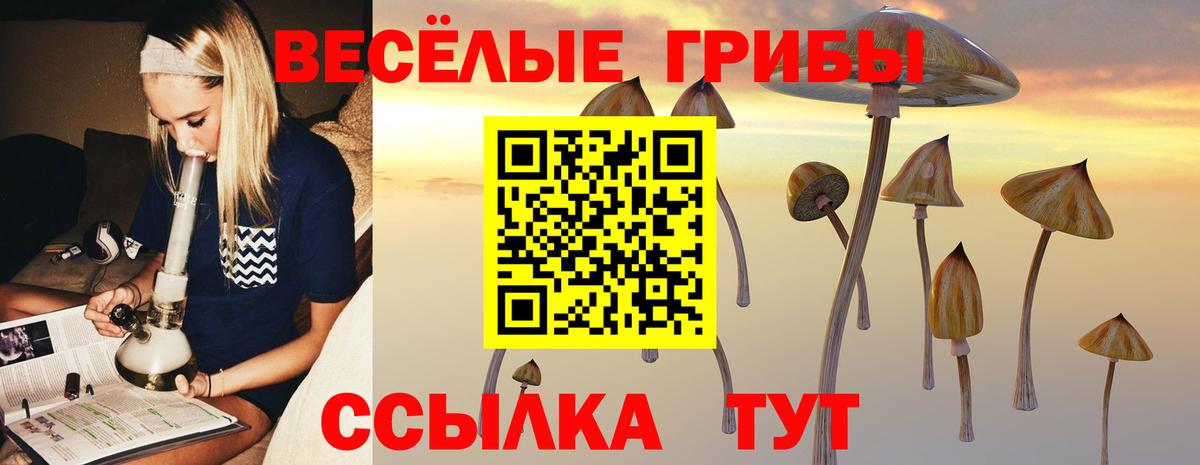Галлюциногенные грибы Cubensis  Вход с VPN  Похвистнево 