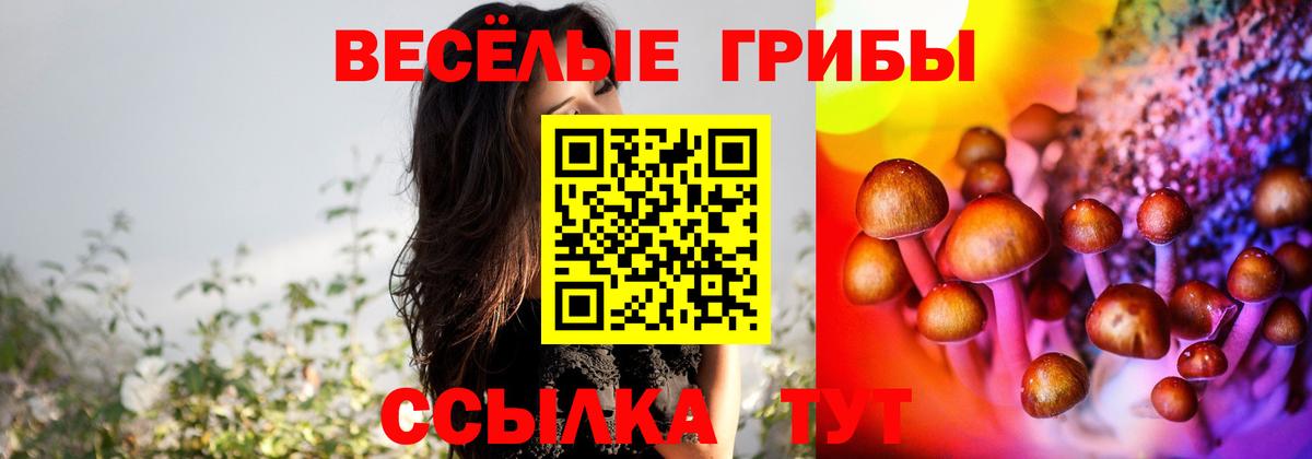 Псилоцибиновые грибы мицелий Похвистнево